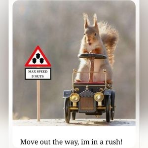 Meet your Posher, Squirrel